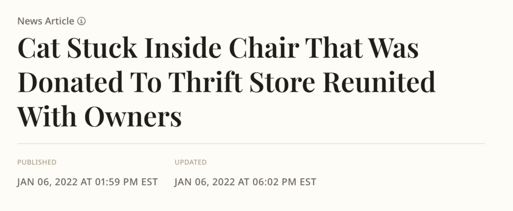 Cat Stuck Inside Chair That Was Donated to Thrift Store Reunited With Owners